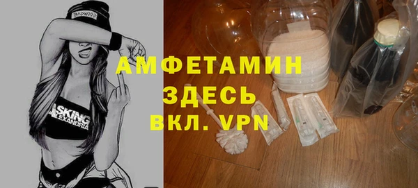 шишки Абаза