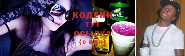 шишки Абаза