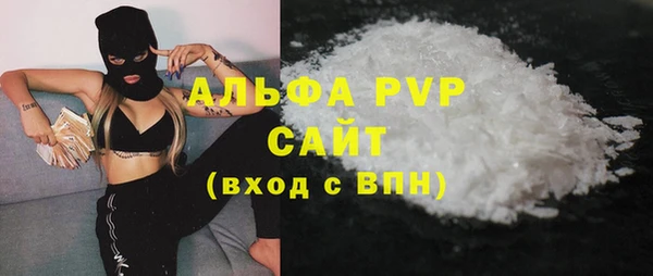 шишки Абаза