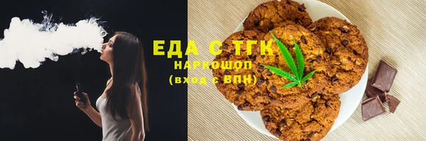 шишки Абаза