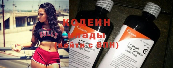 шишки Абаза