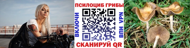 Галлюциногенные грибы Cubensis  mega ссылки  Грозный 