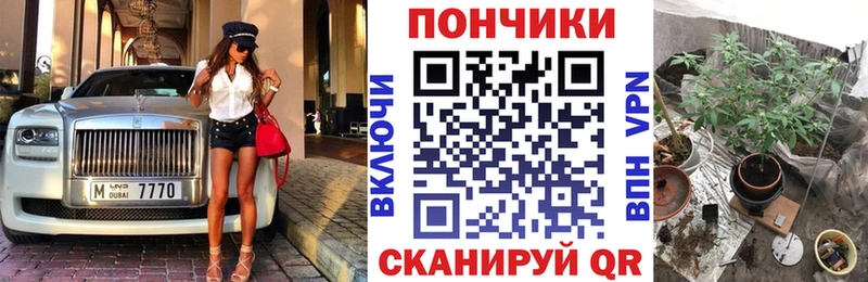 ОМГ ОМГ как войти  Грозный  Бошки Шишки ГИДРОПОН  цены  